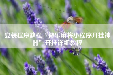 安装程序教程“微乐麻将小程序开挂神器”开挂详细教程