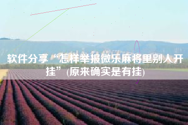 软件分享“怎样举报微乐麻将里别人开挂	”(原来确实是有挂)