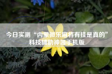 今日实测“内蒙微乐麻将有挂是真的”科技辅助神器手机版