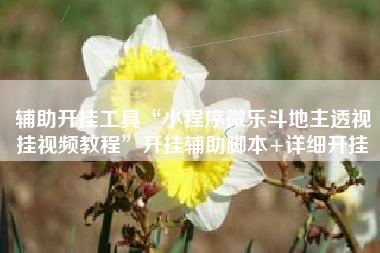 辅助开挂工具“小程序微乐斗地主透视挂视频教程”开挂辅助脚本+详细开挂