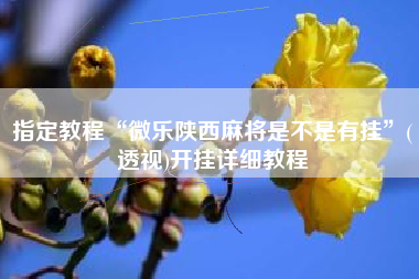 指定教程“微乐陕西麻将是不是有挂”(透视)开挂详细教程