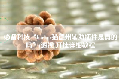 必备科技“hacker猫德州辅助插件是真的吗”(透视)开挂详细教程