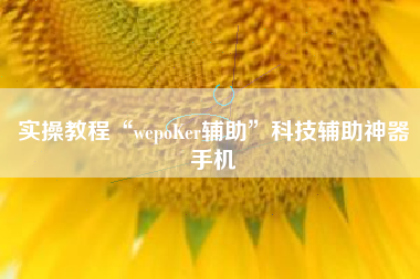 实操教程“wepoKer辅助”科技辅助神器手机