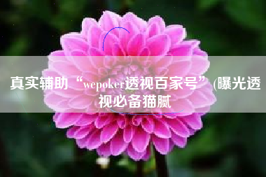 真实辅助“wepoker透视百家号”(曝光透视必备猫腻