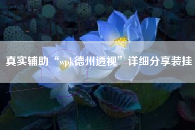 真实辅助“wpk德州透视”详细分享装挂