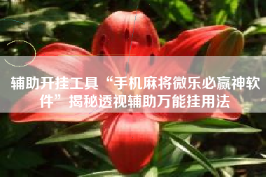 辅助开挂工具“手机麻将微乐必赢神软件”揭秘透视辅助万能挂用法