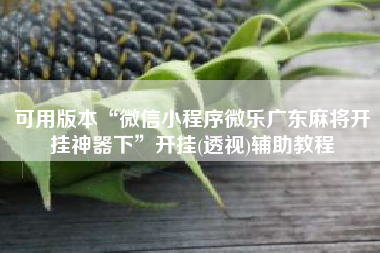 可用版本“微信小程序微乐广东麻将开挂神器下	”开挂(透视)辅助教程