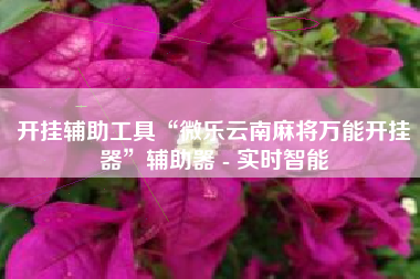 开挂辅助工具“微乐云南麻将万能开挂器”辅助器 - 实时智能