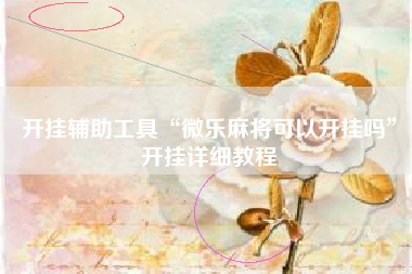 开挂辅助工具“微乐麻将可以开挂吗”开挂详细教程