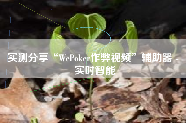 实测分享“WePoker作弊视频”辅助器 - 实时智能