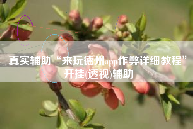 真实辅助“来玩德州app作弊详细教程”开挂(透视)辅助