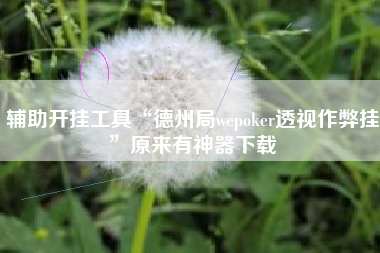 辅助开挂工具“德州局wepoker透视作弊挂”原来有神器下载