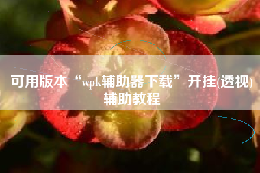 可用版本“wpk辅助器下载”开挂(透视)辅助教程