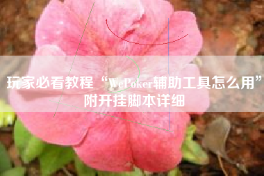 玩家必看教程“WePoker辅助工具怎么用”附开挂脚本详细
