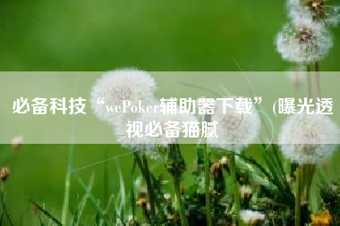 必备科技“wePoker辅助器下载”(曝光透视必备猫腻
