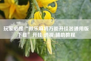 玩家必搜“微乐麻将万能开挂器通用版下载”开挂(透视)辅助教程