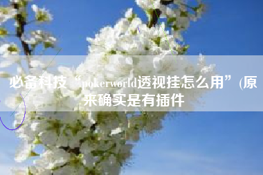 必备科技“pokerworld透视挂怎么用”(原来确实是有插件