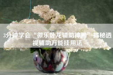 3分钟学会“微乐卧龙辅助神器”揭秘透视辅助万能挂用法