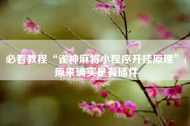 必看教程“雀神麻将小程序开挂原理”(原来确实是有插件