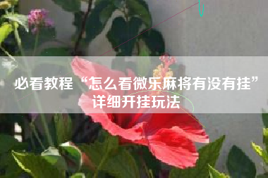 必看教程“怎么看微乐麻将有没有挂”详细开挂玩法