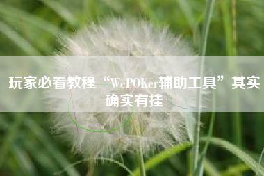 玩家必看教程“WePOKer辅助工具”其实确实有挂