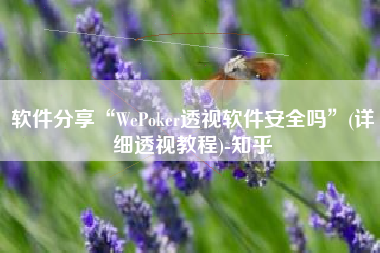 软件分享“WePoker透视软件安全吗”(详细透视教程)-知乎