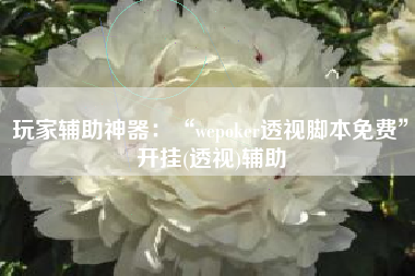玩家辅助神器：“wepoker透视脚本免费”开挂(透视)辅助