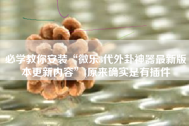 必学教你安装“微乐3代外卦神器最新版本更新内容	”(原来确实是有插件