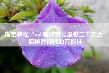 指定教程“wpk辅助封号最怕三个东西”揭秘透视辅助万能挂