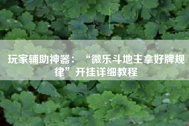 玩家辅助神器：“微乐斗地主拿好牌规律”开挂详细教程