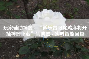 玩家辅助神器：“微乐贵阳捉鸡麻将开挂神器下载”辅助器 - 实时智能回复