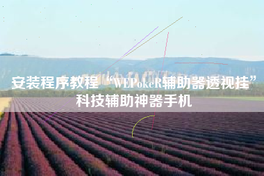 安装程序教程“WEPokeR辅助器透视挂”科技辅助神器手机