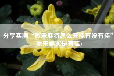 分享实测“微乐麻将怎么开挂有没有挂”(原来确实是有挂)