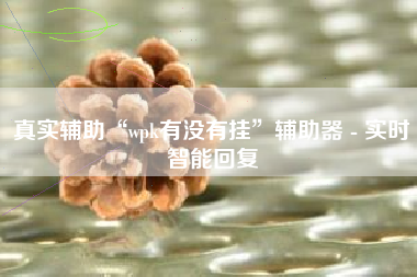 真实辅助“wpk有没有挂”辅助器 - 实时智能回复