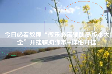 今日必看教程“微乐必赢辅助器版本大全”开挂辅助脚本+详细开挂