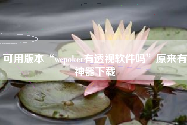 可用版本“wepoker有透视软件吗	”原来有神器下载