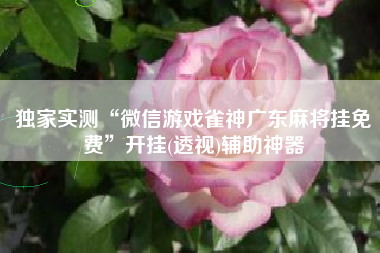 独家实测“微信游戏雀神广东麻将挂免费	”开挂(透视)辅助神器