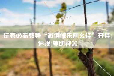 玩家必看教程“微信微乐刨幺挂”开挂(透视)辅助神器