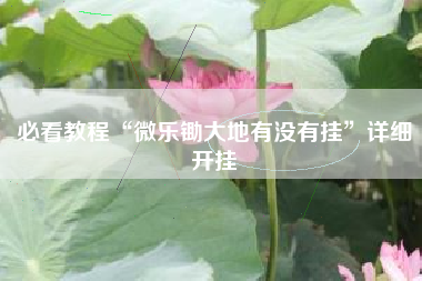 必看教程“微乐锄大地有没有挂”详细开挂