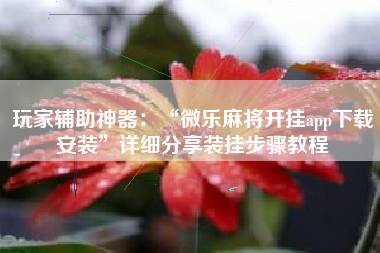 玩家辅助神器：“微乐麻将开挂app下载安装	”详细分享装挂步骤教程