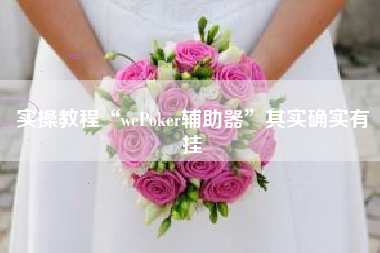 实操教程“wePoker辅助器	”其实确实有挂