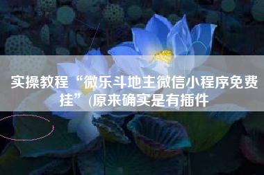 实操教程“微乐斗地主微信小程序免费挂”(原来确实是有插件