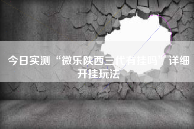 今日实测“微乐陕西三代有挂吗	”详细开挂玩法