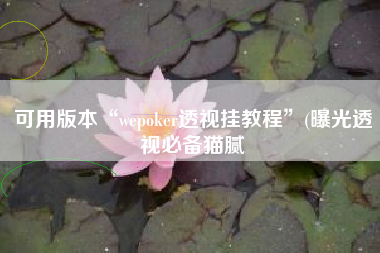 可用版本“wepoker透视挂教程	”(曝光透视必备猫腻