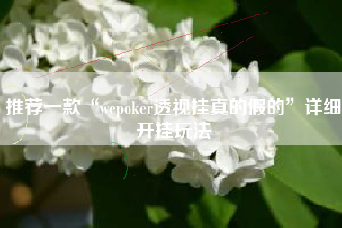 推荐一款“wepoker透视挂真的假的	”详细开挂玩法