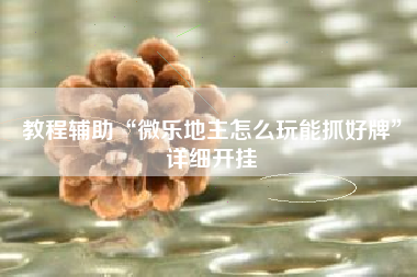 教程辅助“微乐地主怎么玩能抓好牌”详细开挂