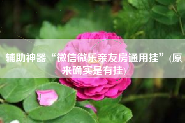 辅助神器“微信微乐亲友房通用挂”(原来确实是有挂)