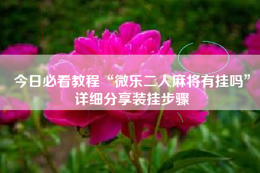 今日必看教程“微乐二人麻将有挂吗	”详细分享装挂步骤