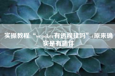 实操教程“wepoker有透视挂吗”(原来确实是有插件