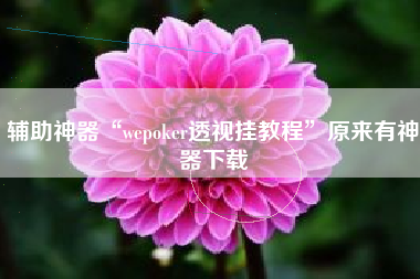 辅助神器“wepoker透视挂教程	”原来有神器下载